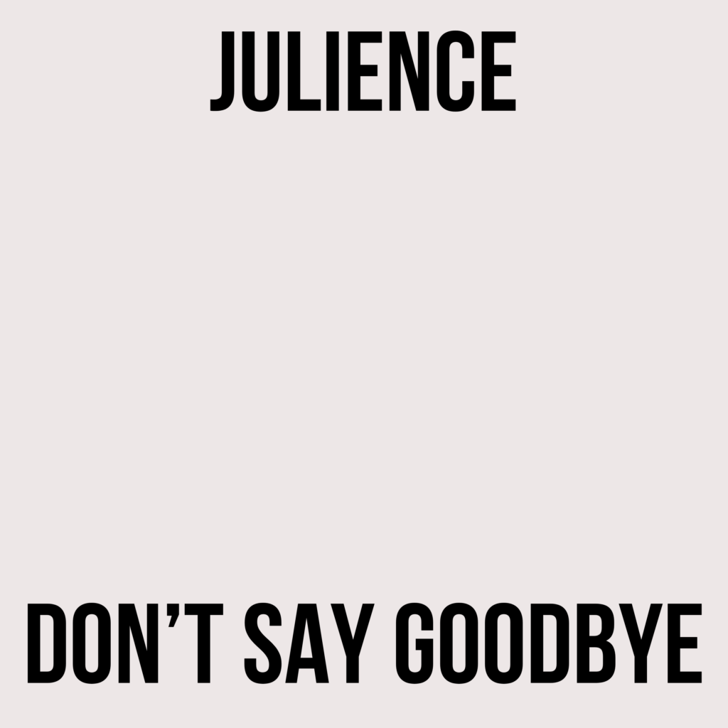 Don't Say Goodbye - Julience