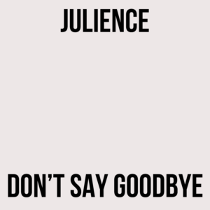 Don't Say Goodbye - Julience